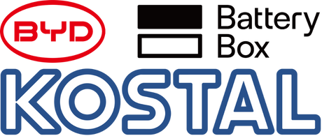 Kostal_BYD System